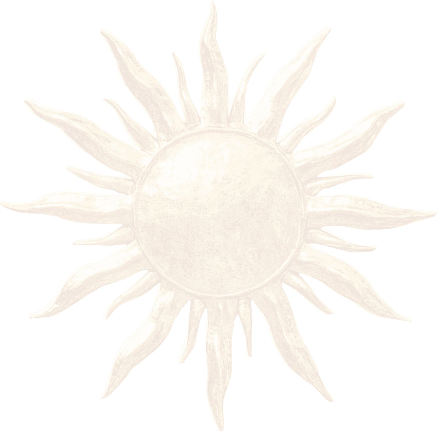 Shared Sunburst